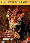 Leopardo: La noche del cazador